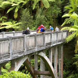 Bridge to Nowhere