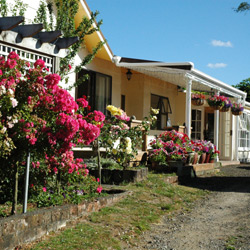 Ranfurly Cottage