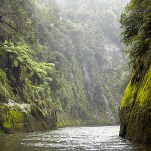 Whanaganui River