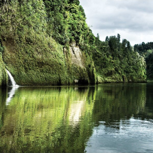 Whanganui River