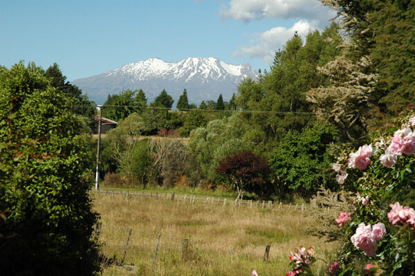 Mt Ruapehu from Ranfurly Cottage