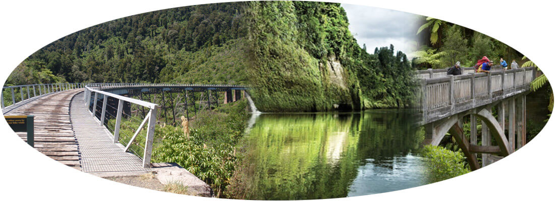 River Panorama Ranfurly Cottage