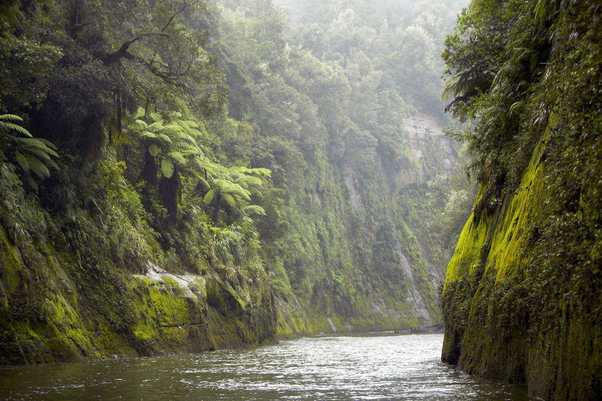 Whanganui River